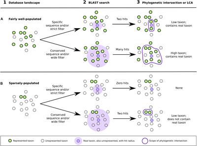 PIA: More Accurate Taxonomic Assignment of Metagenomic Data Demonstrated on sedaDNA From the North Sea